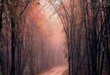 乐鱼体育网站入口-孔德个人能力完全展现，澳大利亚制霸委内瑞拉—解析战术核心与团队制胜之道