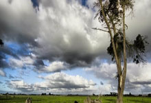 乐鱼体育app-日本乒乓球队碾压瑞典，张本智和爆发神勇引爆全场